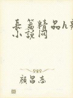 长篇精品h辣文小说网封面