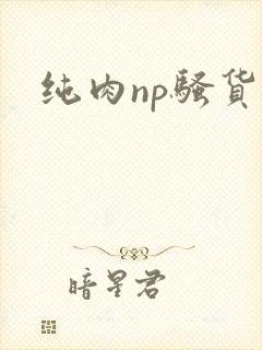 纯肉np骚货封面