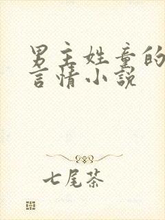 男主姓童的现代言情小说