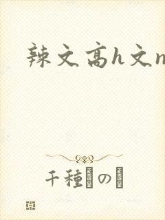 辣文高h文np封面