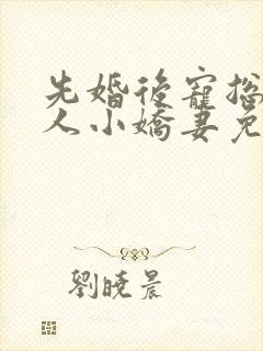 先婚后宠总裁大人小娇妻免费全集