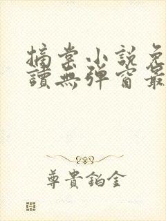 摘棠小说免费阅读无弹窗最新章节