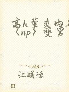 高h荤爽肉欲文〈np〉双男