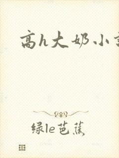 高h大奶小说