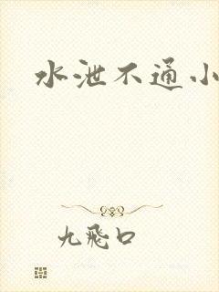 水泄不通小说