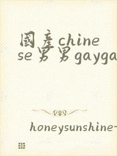 国产chinese男男gaygay xnxx