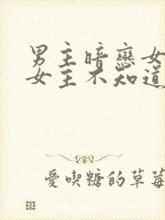 男主暗恋女主,女主不知道的小说