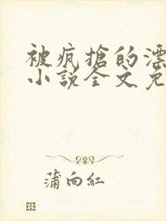 被疯抢的漂亮攻小说全文免费阅读无弹窗