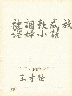 被调教成放荡小淫妇小说
