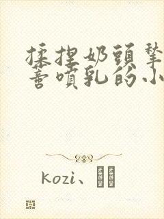 揉捏奶头揪扯阴蒂喷乳的小说