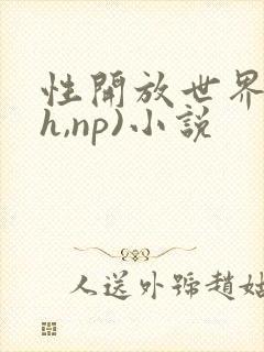 性开放世界(高h,np)小说封面