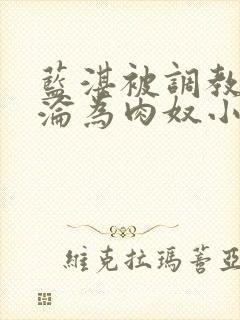 蓝湛被调教喷水沦为肉奴小说