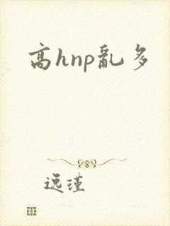 高hnp乱多