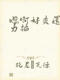 嗯啊好爽还要用力插封面