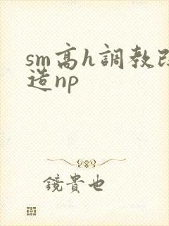 sm高h调教改造np