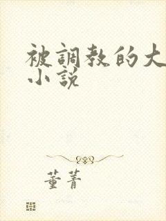 被调教的大小姐小说