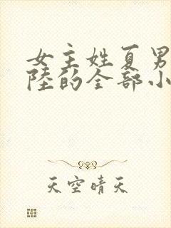 女主姓夏男主姓陆的全部小说