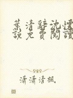 叶清辞沈怀瑾小说免费阅读最新章节封面