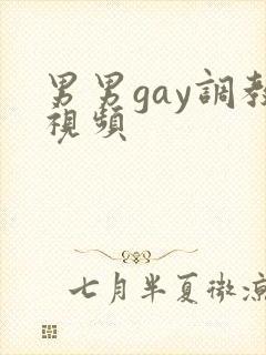 男男gay调教视频