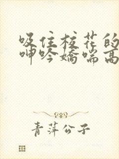 吸住校花的奶头呻吟娇喘高潮封面