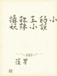摄政王的小闲妻妖殊小说