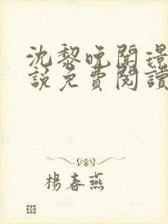 沈黎晚闻璟川小说免费阅读最新章节