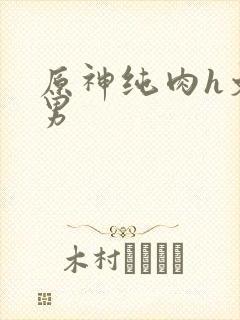 原神纯肉h文男男封面