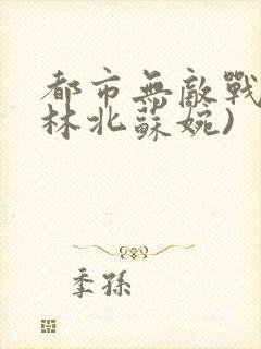 都市无敌战神(林北苏婉)封面
