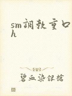 sm调教重口高h