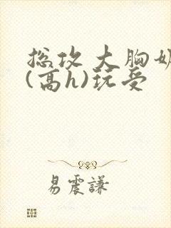 总攻 大胸奶汁(高h)玩受