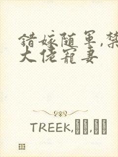 错嫁随军,禁欲大佬宠妻封面