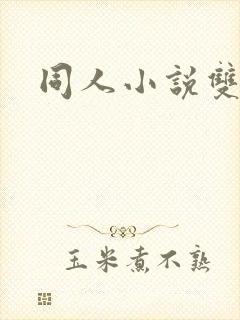 同人小说双男主