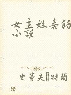 女主姓秦的现代小说封面