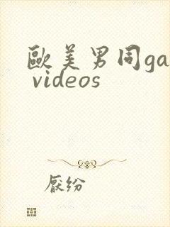 欧美男同gay videos