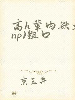 高h荤肉欲文(np)粗口