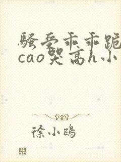 骚受乖乖跪趴被cao哭高h小说