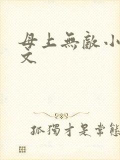 母上无敌小说全文封面