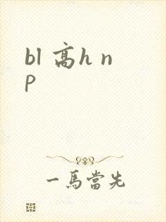 bl 高h np封面