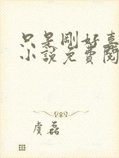 只是刚好喜欢你小说免费阅读全文封面