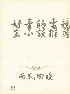 好看的电竞双男主小说推荐