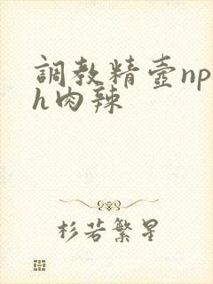 调教精壶np高h肉辣