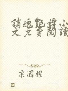 销魂艳婢小说全文免费阅读