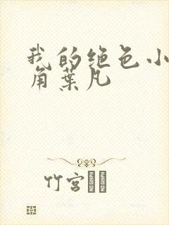 我的绝色小姨主角叶凡