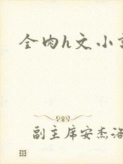 全肉h文小说封面