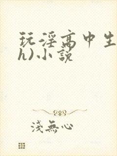 玩淫高中生(高h)小说封面