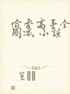 偷香高手全文无删减 小说封面