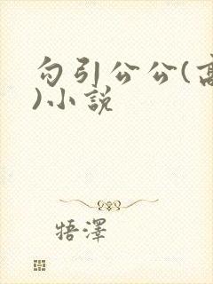 勾引公公(高h)小说