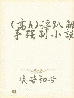 (高h)淫趴触手强制小说封面