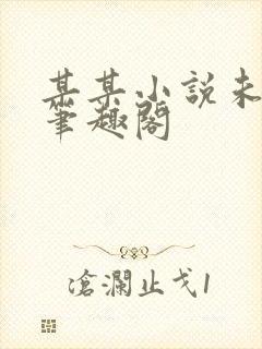 某某小说未删减笔趣阁