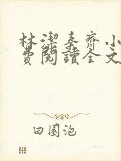 林洁秦齐小说免费阅读全文最新章节封面